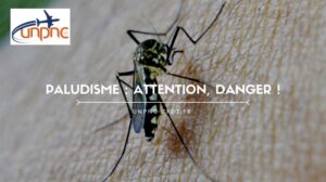 Lire la suite à propos de l’article PALUDISME ATTENTION DANGER !