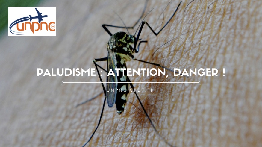 You are currently viewing PALUDISME ATTENTION DANGER !