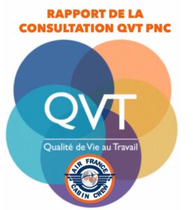 Lire la suite à propos de l’article Rapport de la consultation QVT PNC