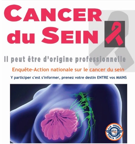 You are currently viewing Enquête-Action nationale sur le cancer du sein